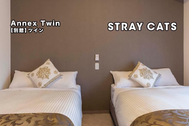 Annex Twin Room - Non-Smoking