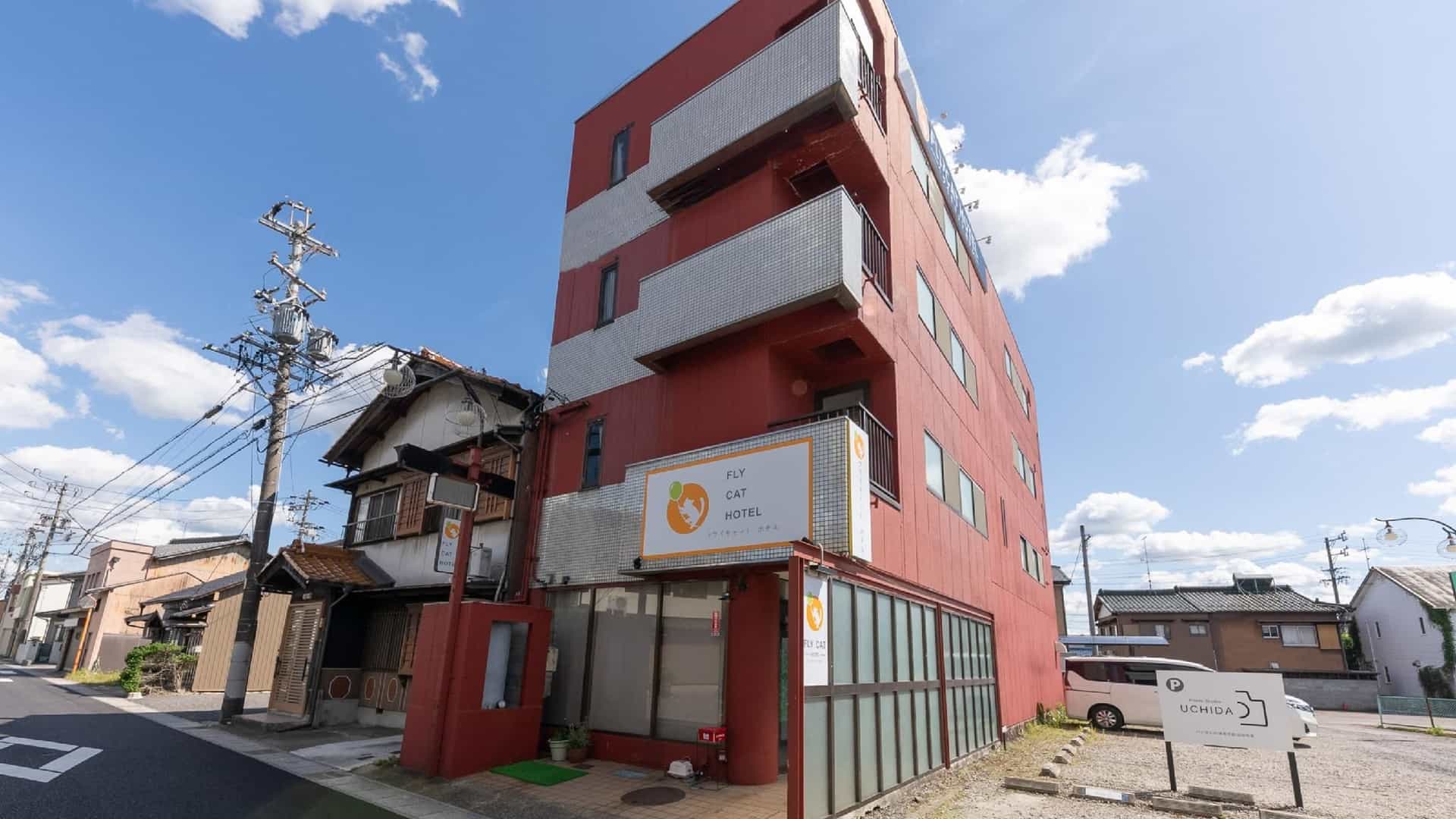 Fly Cat Hotel