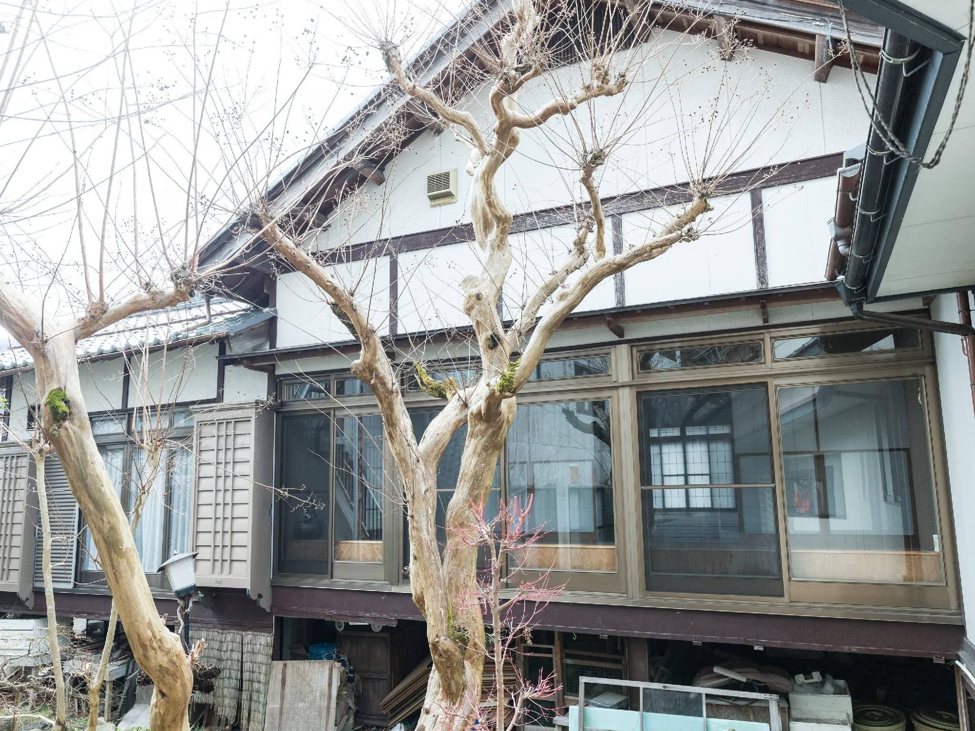 ทาบิสท์ สุมิโยชิยะ นีโอ อุสุซึมิ ทาบิสท์ สุมิโยชิยะ นีโอ อุสุซึมิ