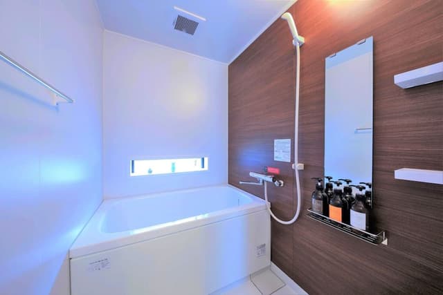 Deluxe Twin Room, Non Smoking (check-in is not available after 11PM)