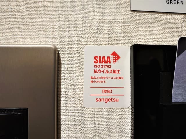 Executive Room, Non Smoking