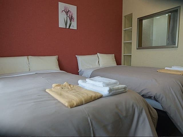 Basic Twin Room