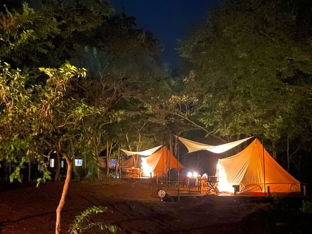 Standard Tent, Non Smoking