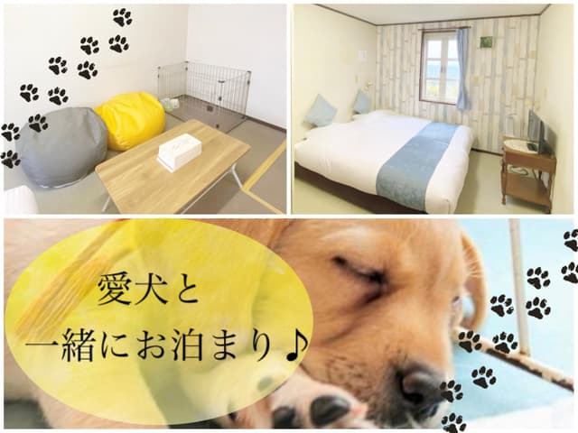 Room - Non-Smoking, Pet-Friendly