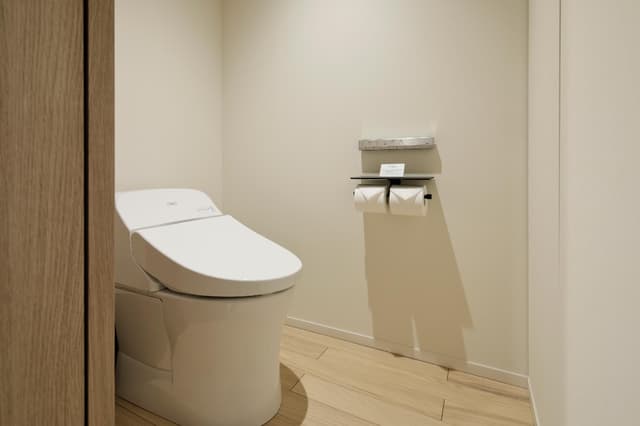 Guest room, King or Twin/Single Bed(s)