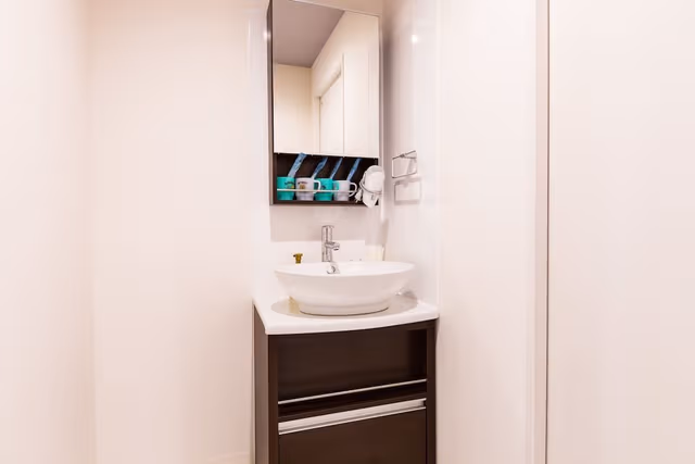Deluxe 1LDK Double Room