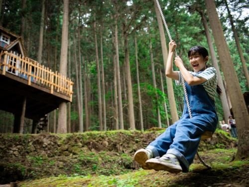 Mieux Forest3