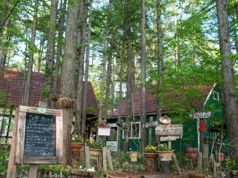 เกสต์เฮาส์ แคนเตอร์เบอรี (Guesthouse Canterbury)0
