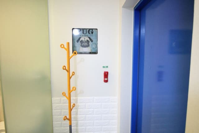 Single Room, No Windows