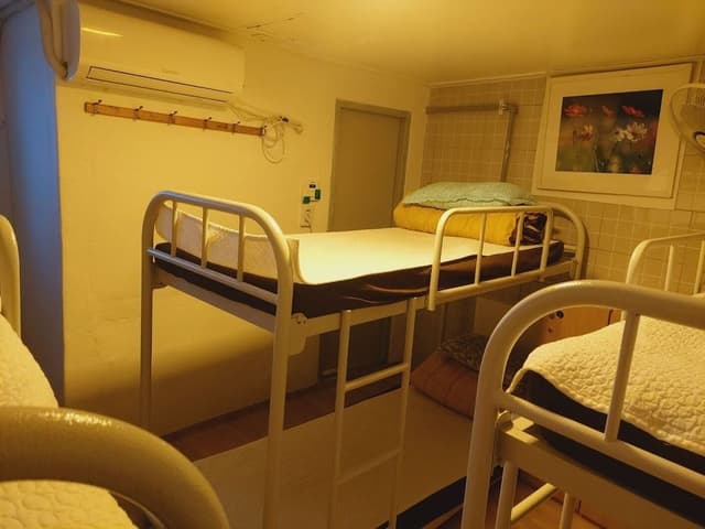 Shared Dormitory, Mixed Dorm with Ensuite Bathroom (6 people, Foreigners Only)