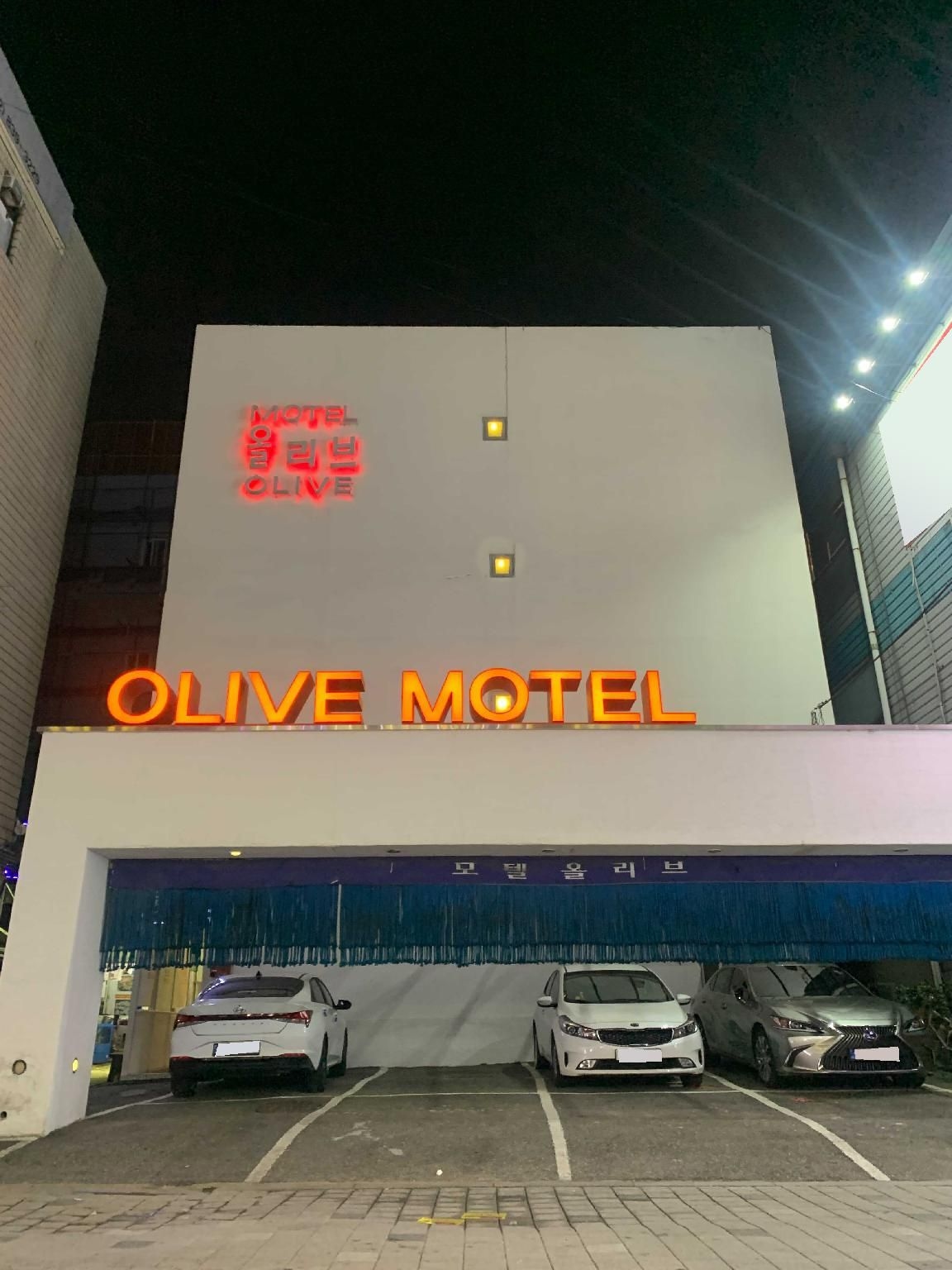 กูโร โอลีฟ (Guro Olive)0