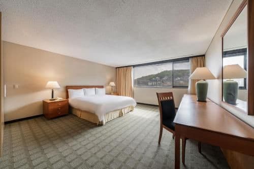 4-Bedroom Suite