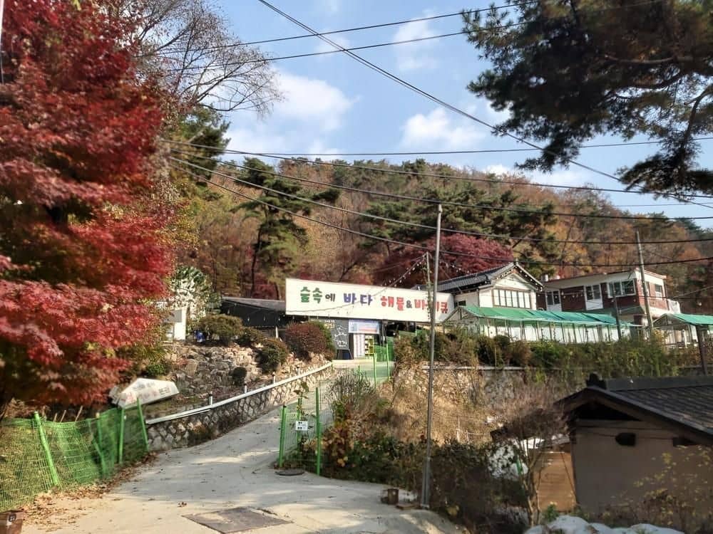 Wolbyeok Town Wolbyeok Town