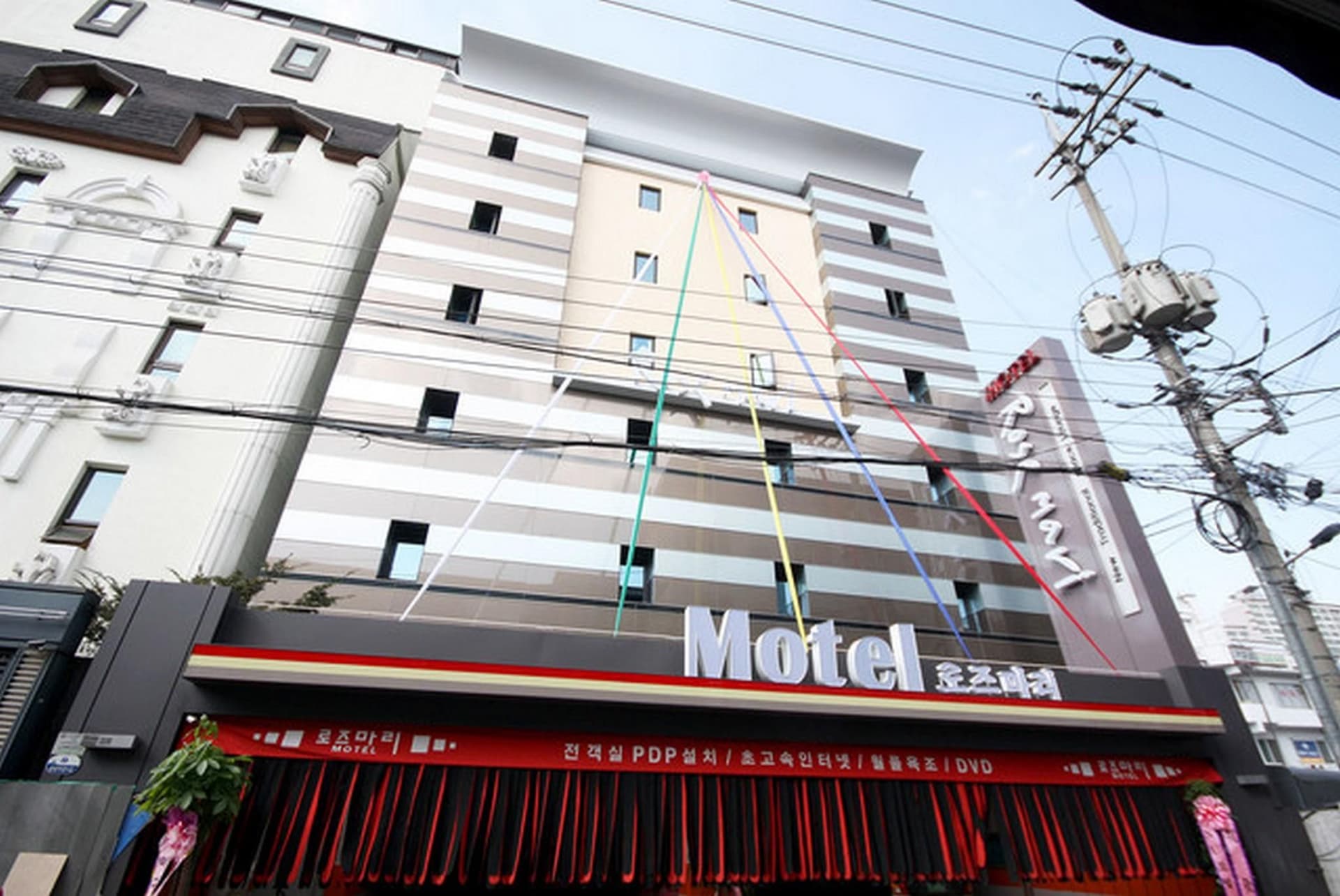 ซินชอน โรสแมรี ซินชอน โรสแมรี