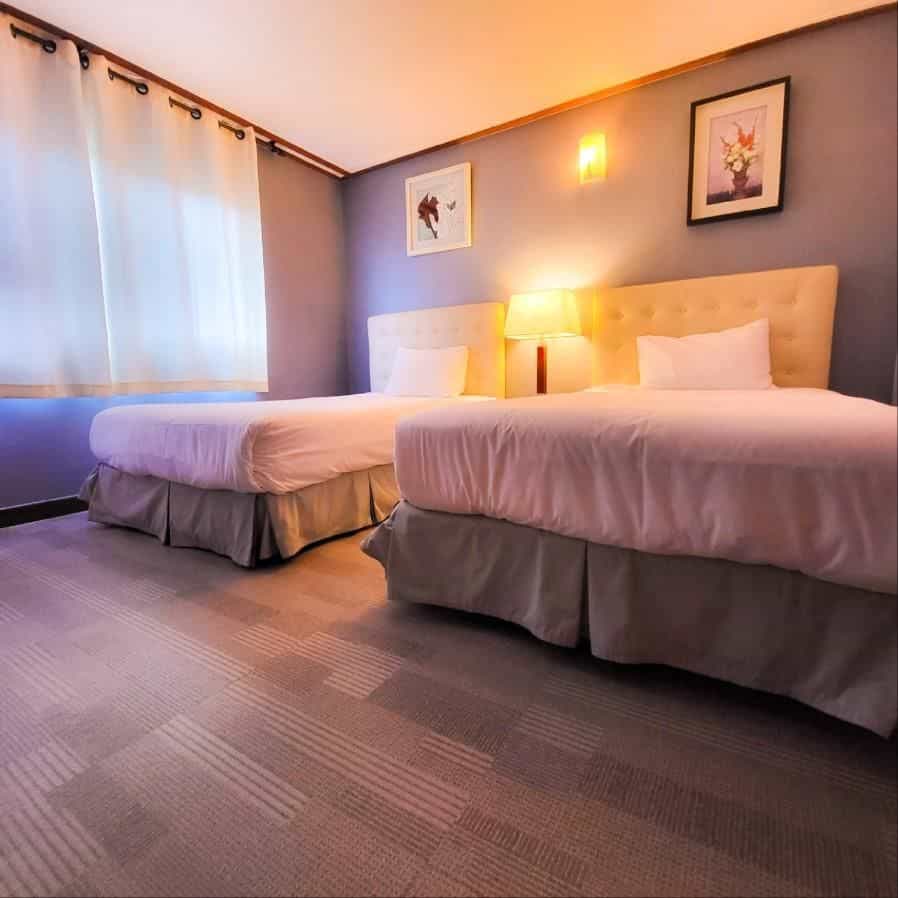 EQ Stay Hotel & Guesthouse EQ Stay Hotel & Guesthouse