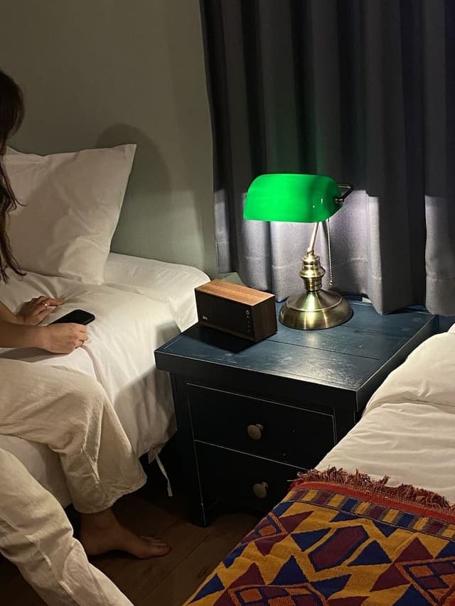 Basic Twin Room