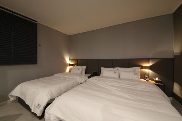 D Deluxe Twin Room