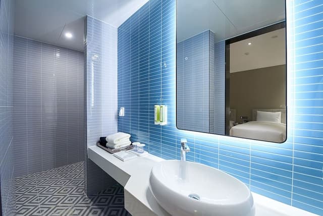 Superior Twin Room (Shower)