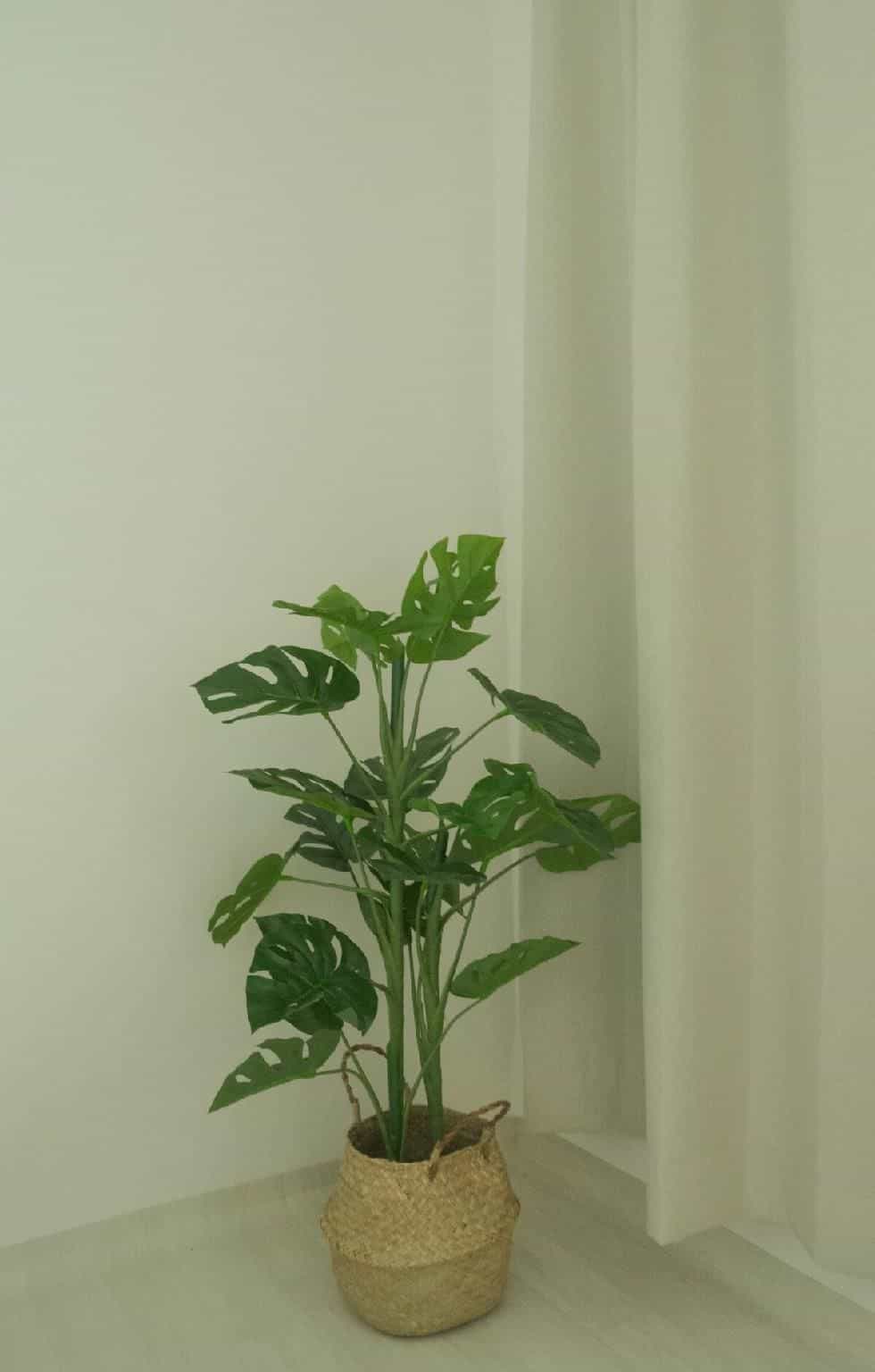 อพาร์ตเมนต์ 3 ห้องนอน 1 ห้องน้ำส่วนตัว ขนาด ตร.ม. – เขตแฮอุนแด อพาร์ตเมนต์ 3 ห้องนอน 1 ห้องน้ำส่วนตัว ขนาด ตร.ม. – เขตแฮอุนแด