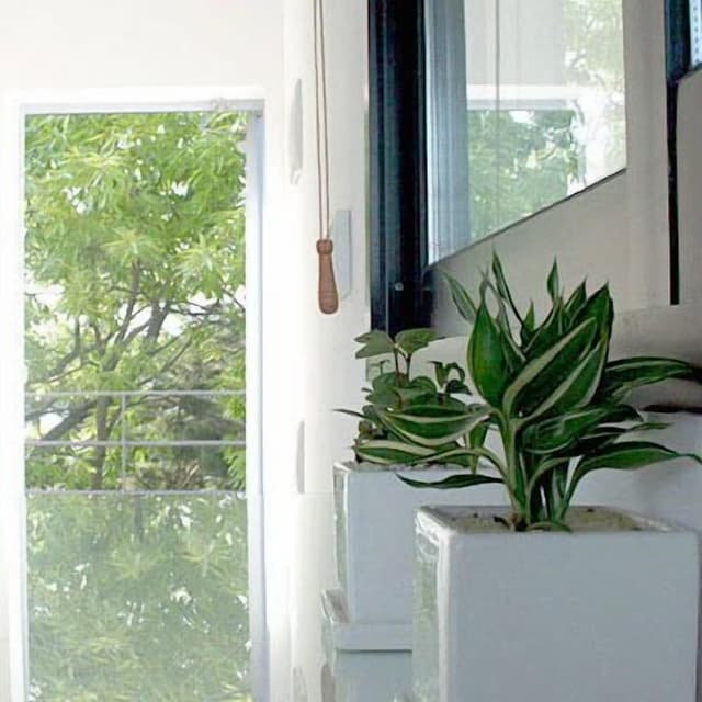B3 Room - Lake view