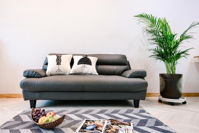 Basic Room, 1 Bedroom (202)