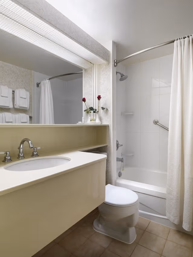 Suite, 1 Bedroom