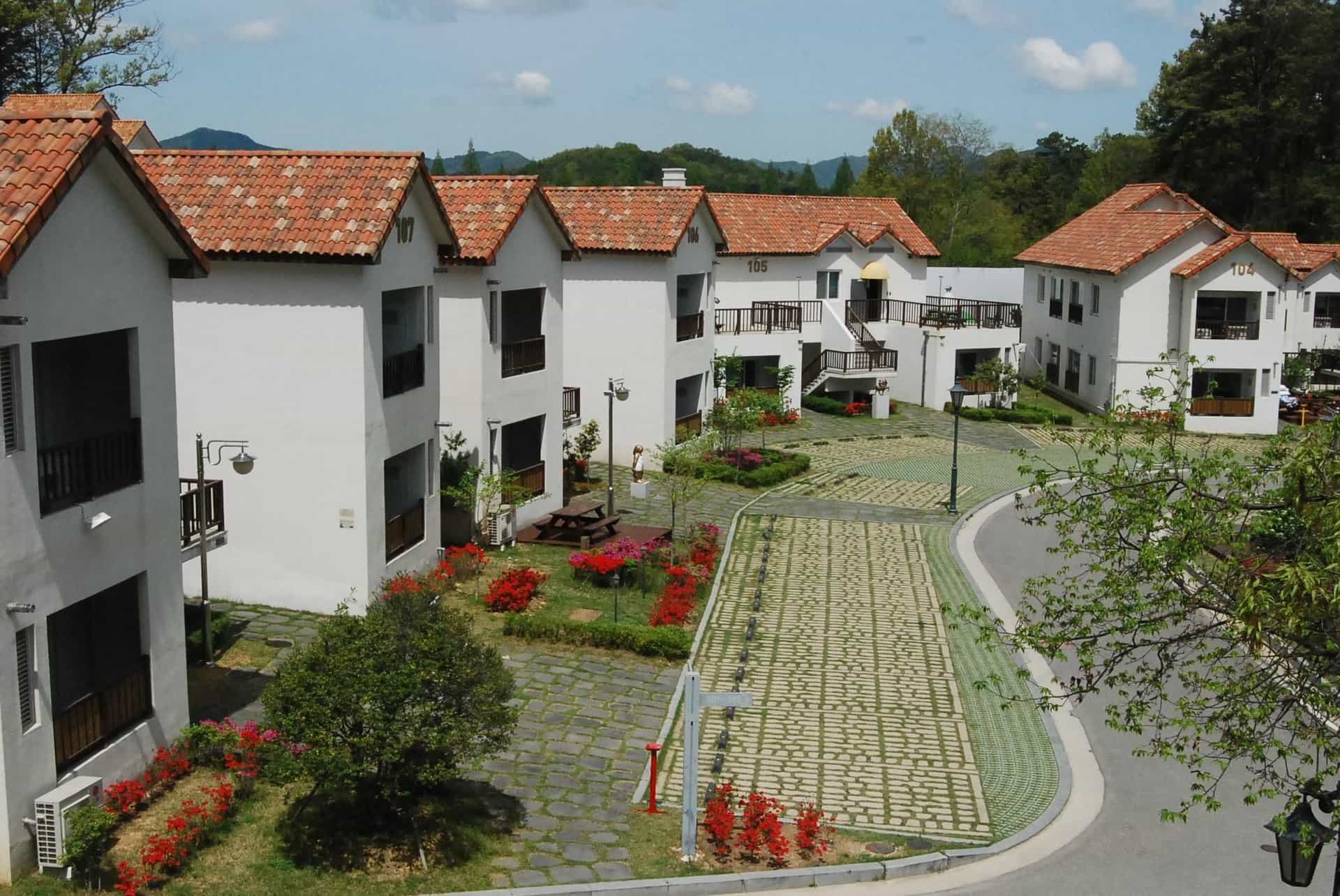 Damyang Meta Pension