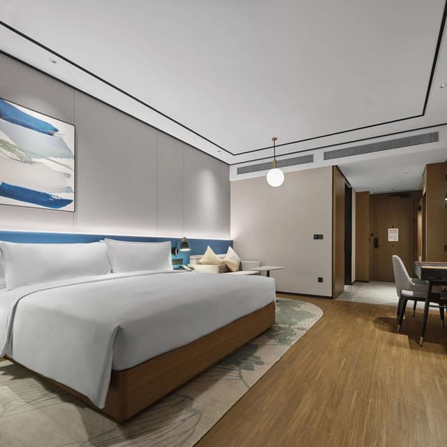 KING ACCESSIBLE ROOM