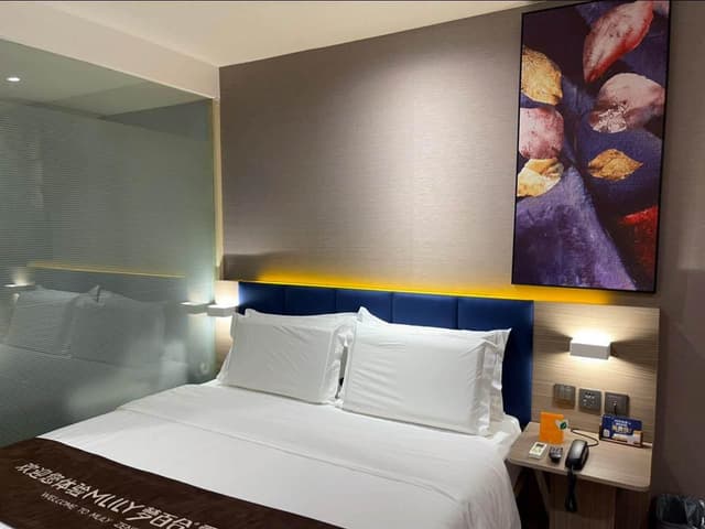 WH - Youpin Zero Pressure 1 Bed Room