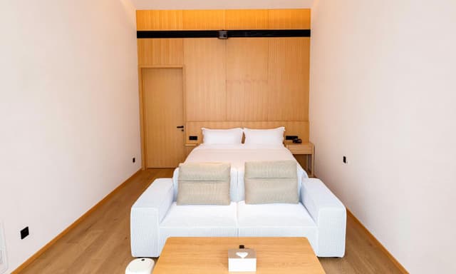Standard Double Room without Kitchenette