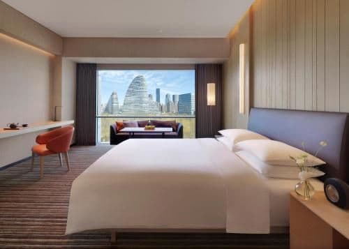 1 King Bed with Park View