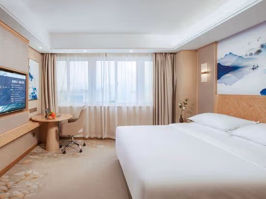 Vienna - Executive Suite