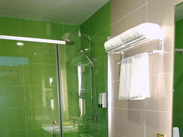 Guest Twin Room