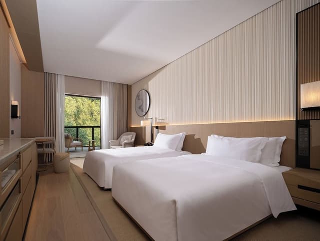 Twin Room, Hill View