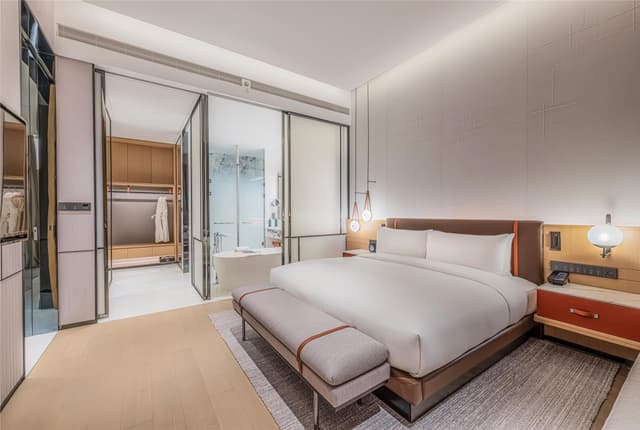 KING AMBASSADOR SUITE