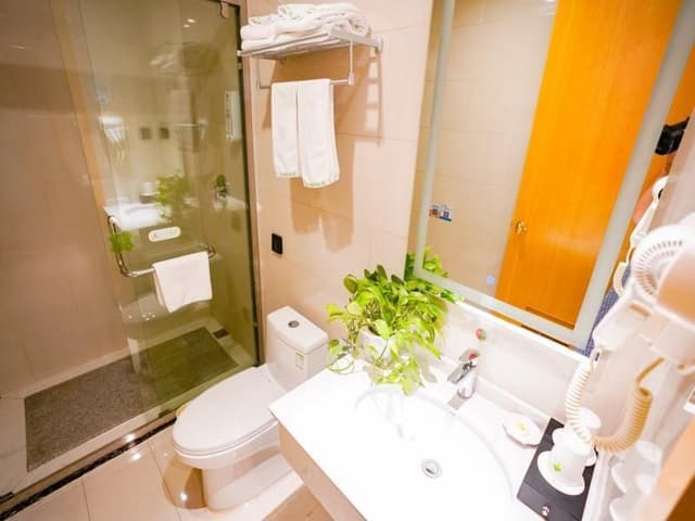 Guest Twin Room