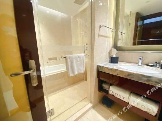 Elegant Twin Room