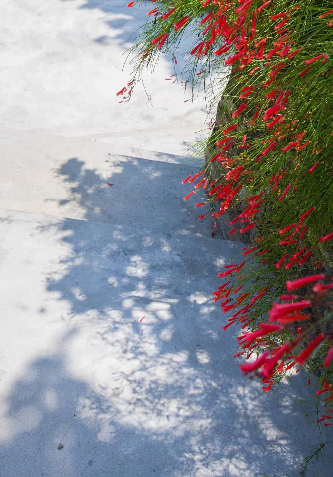 Floral Gulangyu Haiyun Garden Sea view Innsanqiutian Whar fHotel Floral Gulangyu Haiyun Garden Sea view Innsanqiutian Whar fHotel