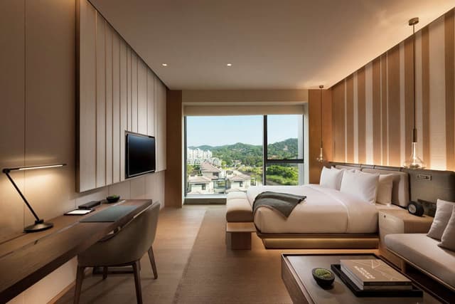KING DELUXE MOUNTAIN VIEW ROOM
