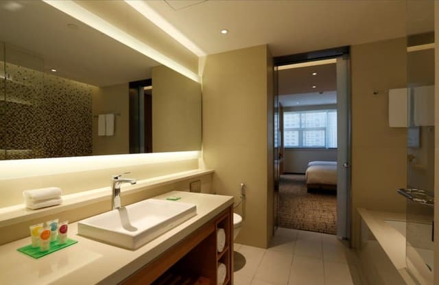 Suite, 1 King Bed with Sofa bed