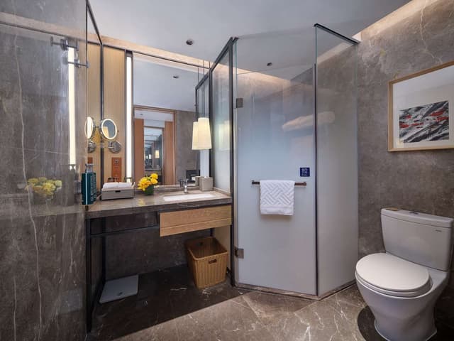 KING PREMIER ROOM WITH BALCONY