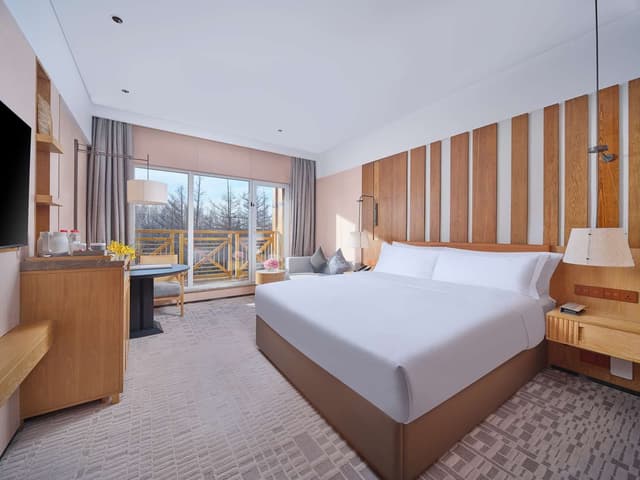 KING PREMIER ROOM WITH BALCONY