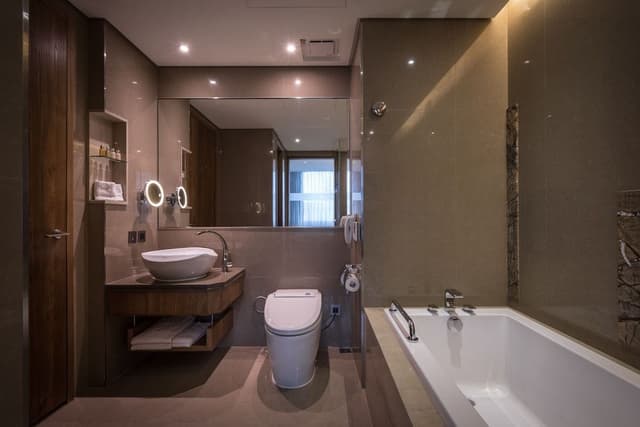 Business Twin Room with City View