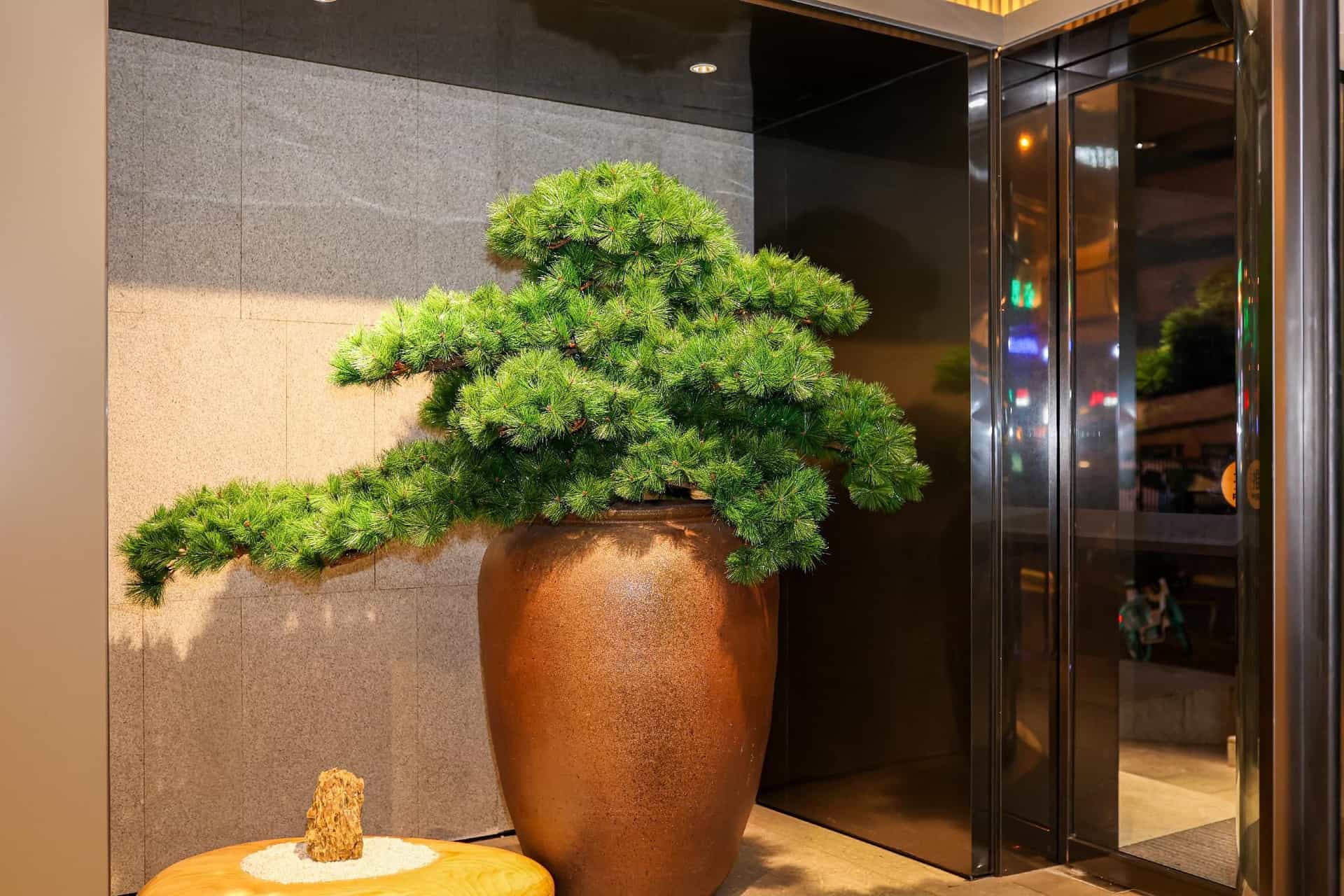 Ji Hotel Chengdu Tianfu Plaza Daye Road Ji Hotel Chengdu Tianfu Plaza Daye Road