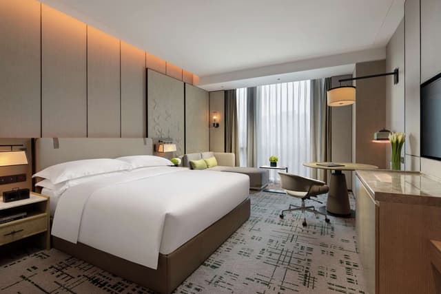 KING ACCESSIBLE ROOM