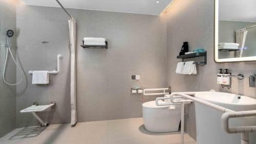 1 King Standard Accessible