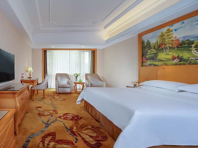 Vienna - Deluxe Room