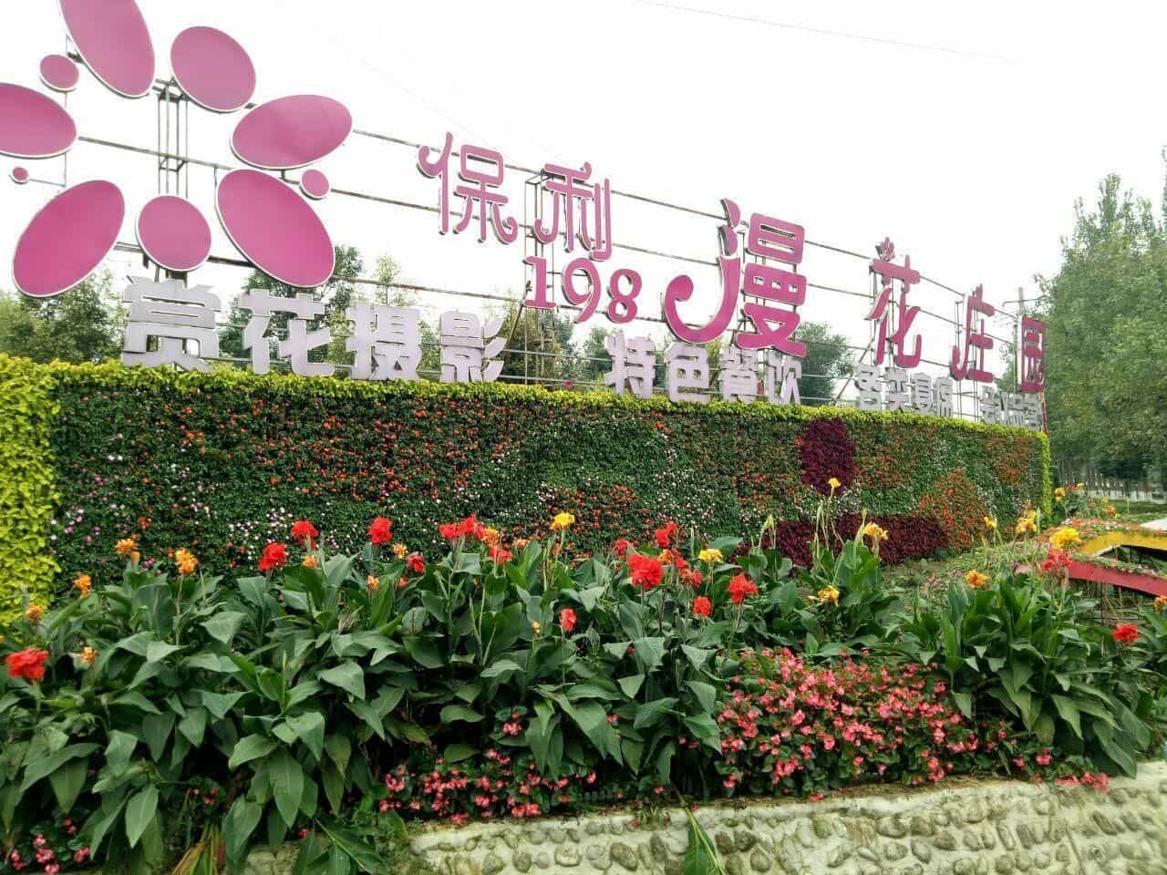 7 Days Premium Chengdu Panda Base Sanhechang Subway Station 7 Days Premium Chengdu Panda Base Sanhechang Subway Station