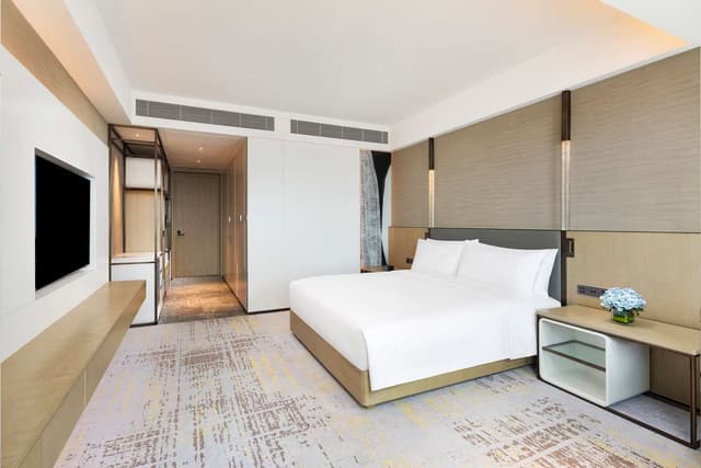 KING ACCESSIBLE ROOM