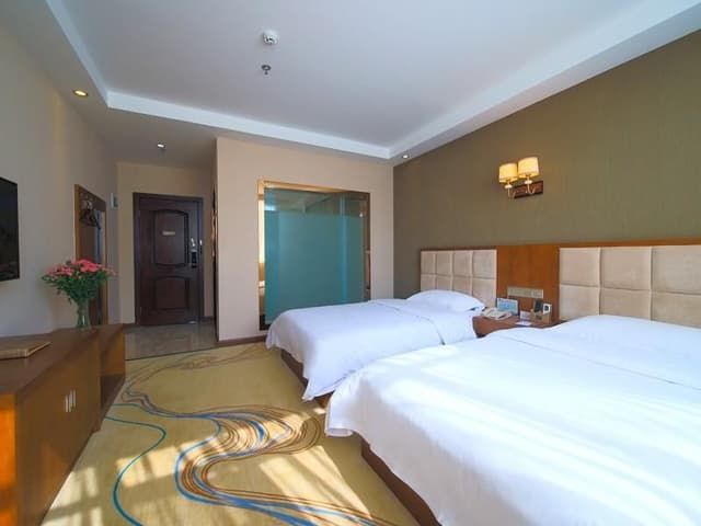 Vienna - Executive Room for 2 Guests